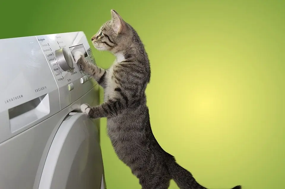Dryer-Repair--in-Pompano-Beach-Florida-dryer-repair-pompano-beach-florida.jpg-image