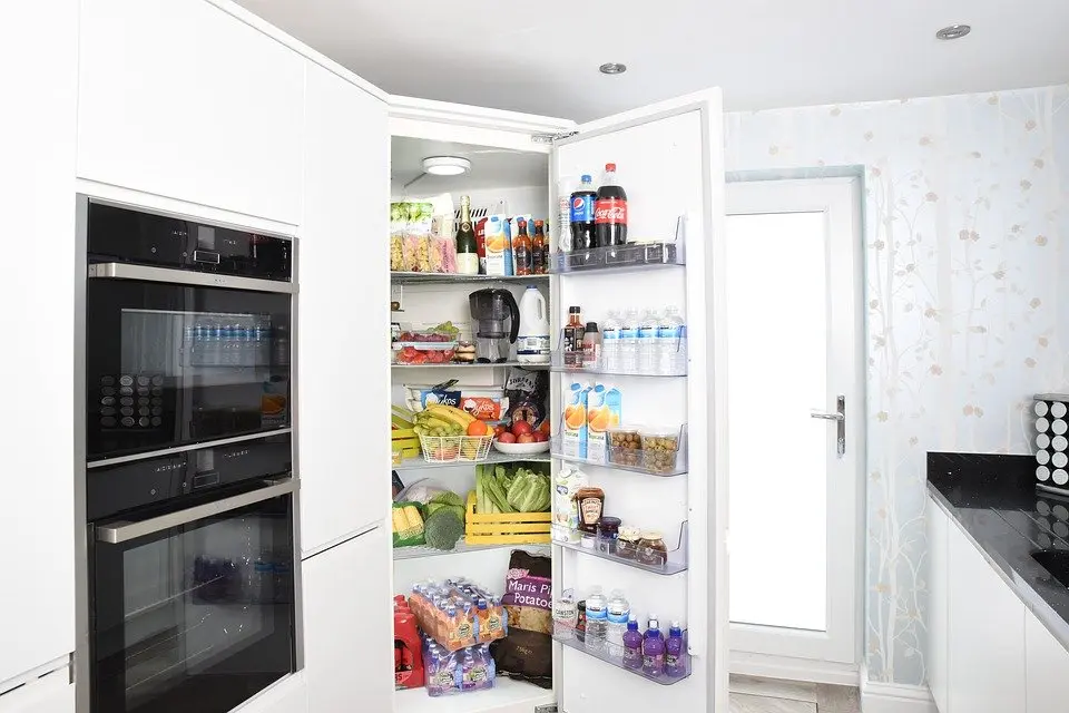 Subzero-Repair--in-Palm-City-Florida-subzero-repair-palm-city-florida.jpg-image